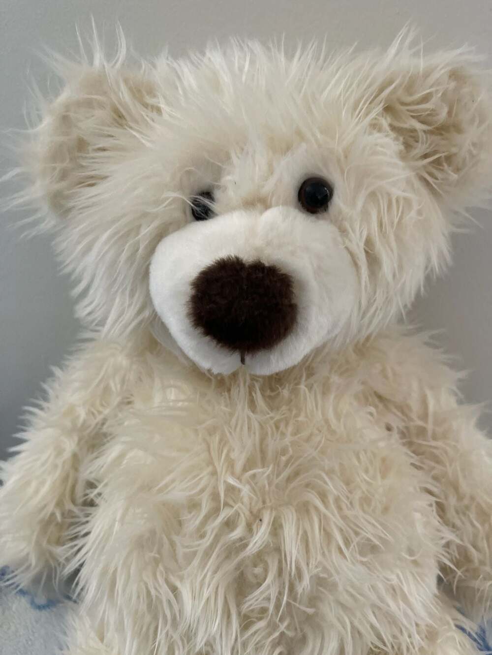 Build-A-Bear Workshop Shaggy Cream Polar Bear Plush, 25th Year 2007 Brown Eyes 1